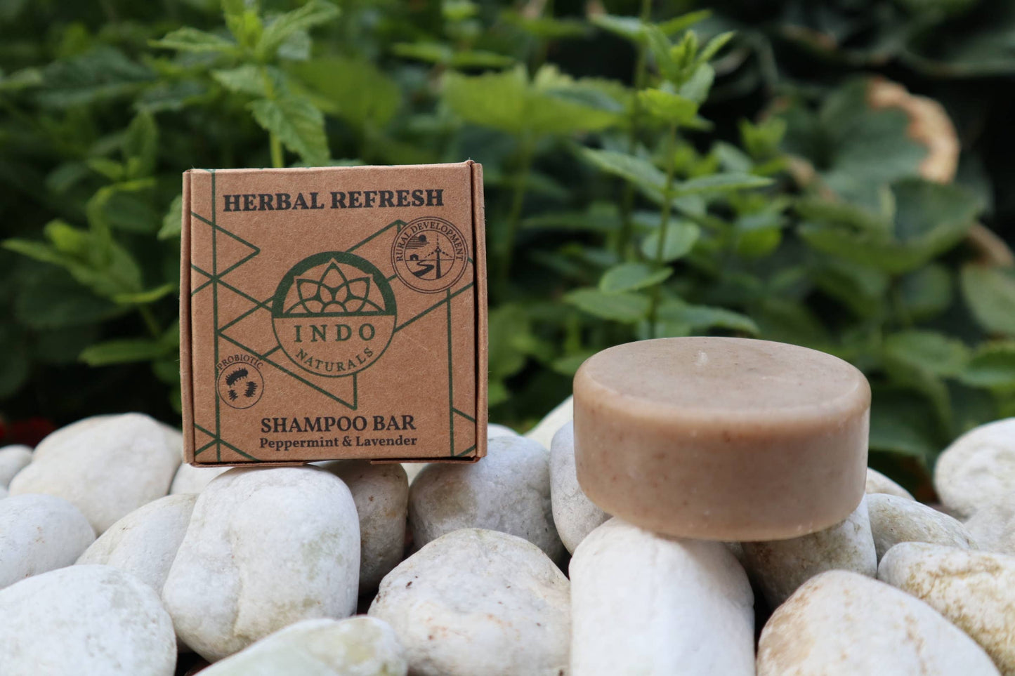 Herbal Refresh: probiotic shampoo bar