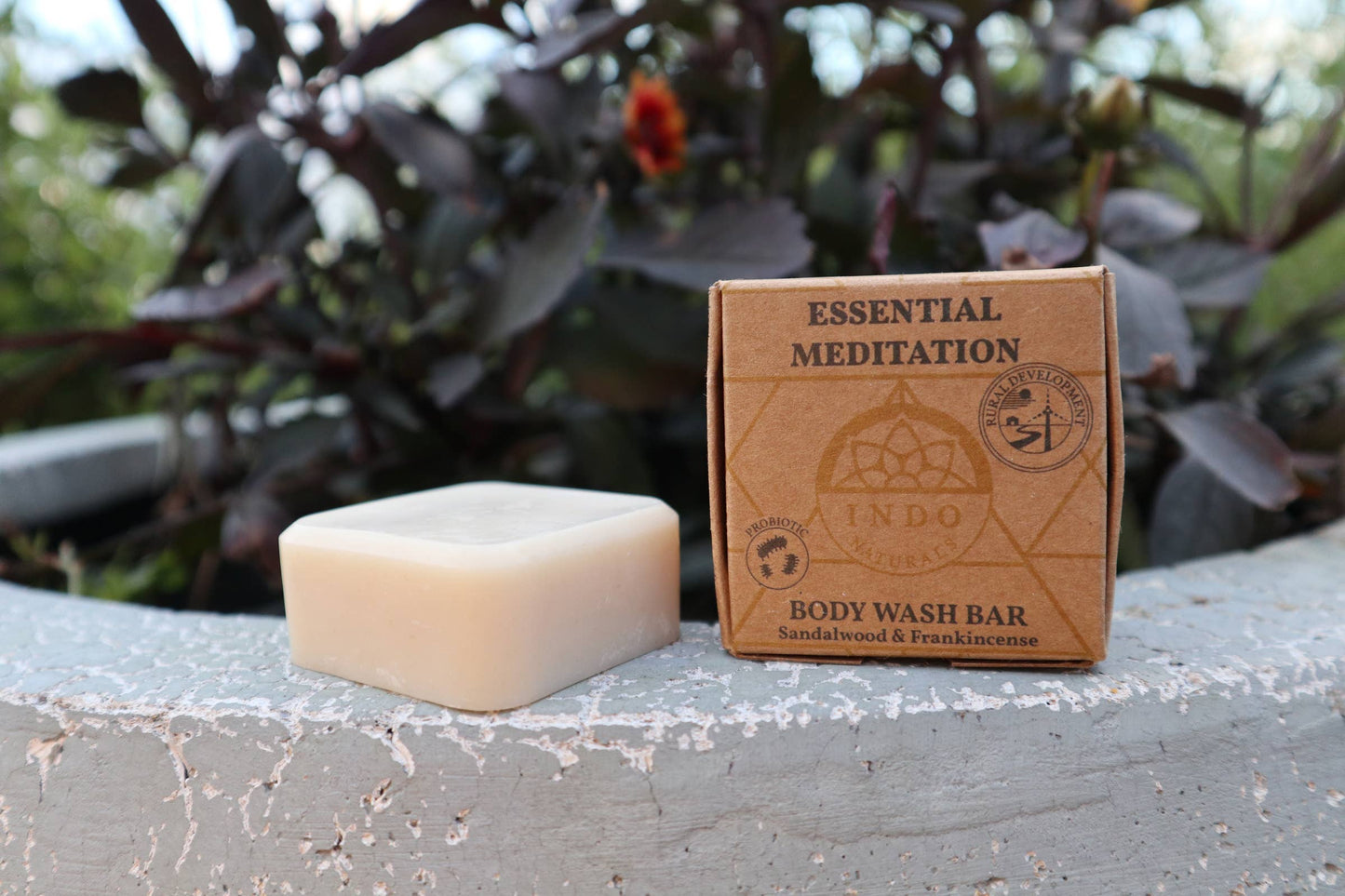 Essential Meditation: probiotic body wash bar