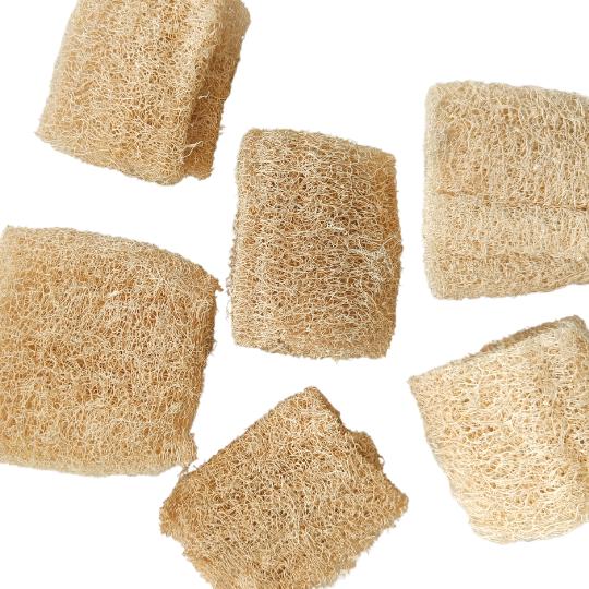 Loofah Dish Sponge