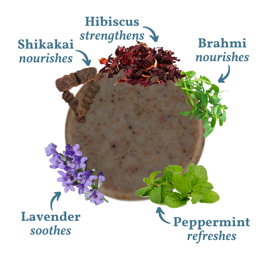 Herbal Refresh: probiotic shampoo bar