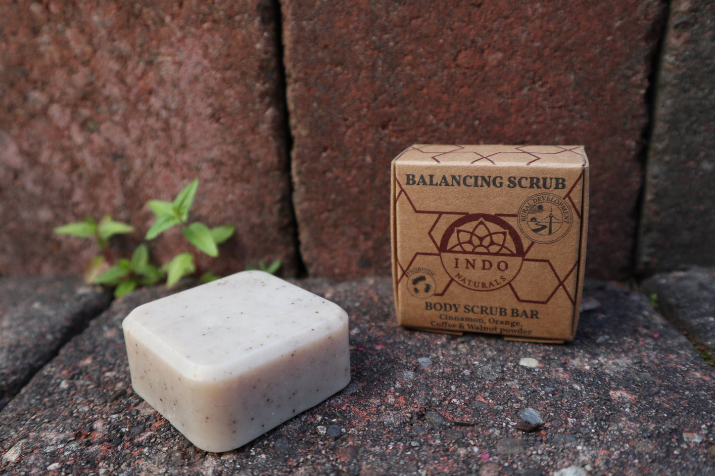 Balancing Scrub: probiotic body scrub wash bar